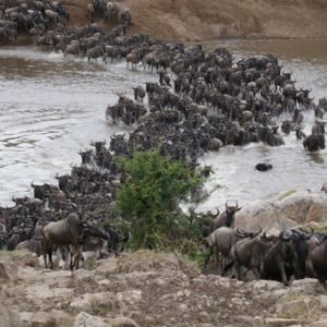 Meet your Posher, Janet